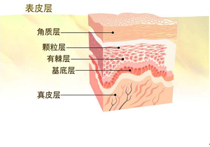 QQ截圖20150818140754.png
